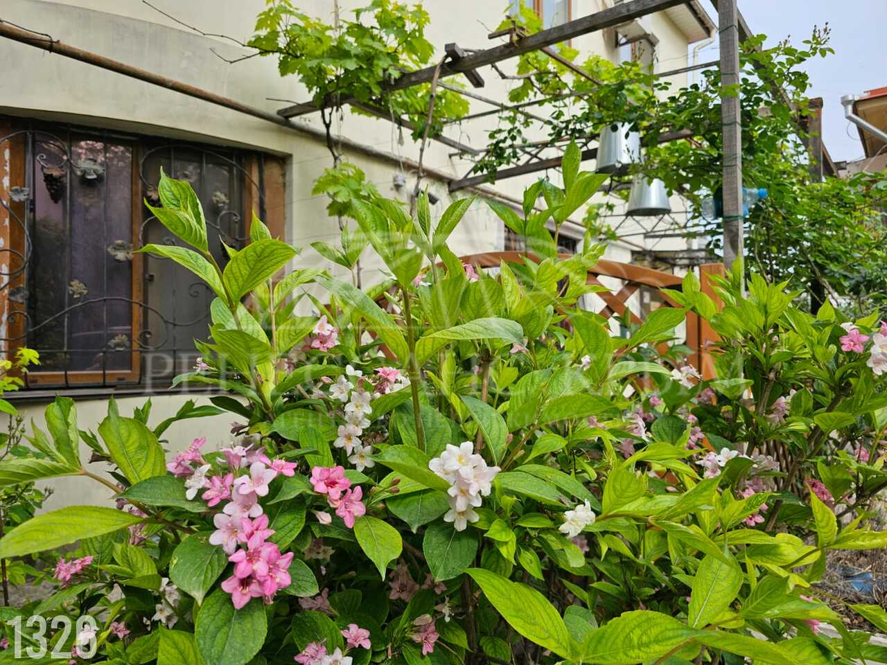  71587868:  3 . . ,   , 19, 