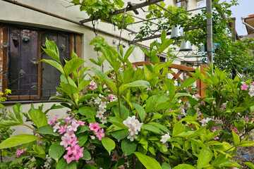 3-к квартира, 86 м², 1/2 эт.