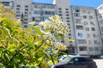 1-к квартира, 32,1 м², 5/7 эт.