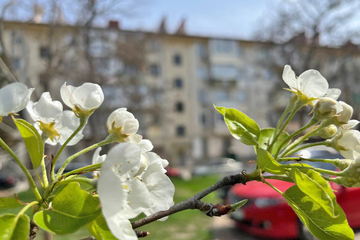 1-к квартира, 30,7 м², 3/5 эт.