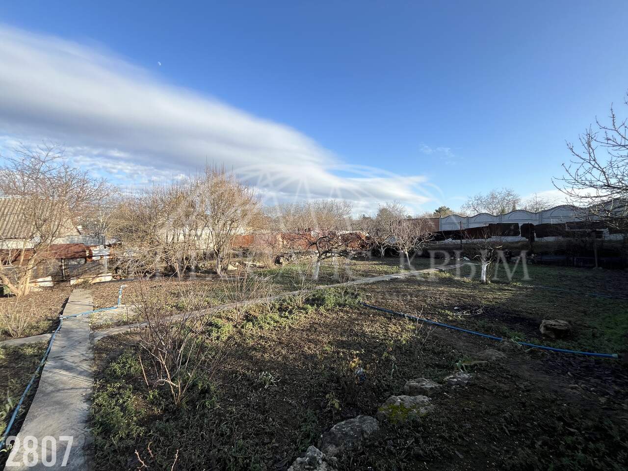 ���������� �71666087: ������� �������. ��� �����-����