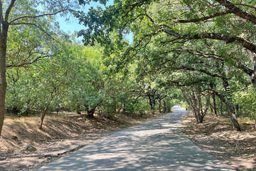 2-к квартира, 44,3 м², 3/5 эт.